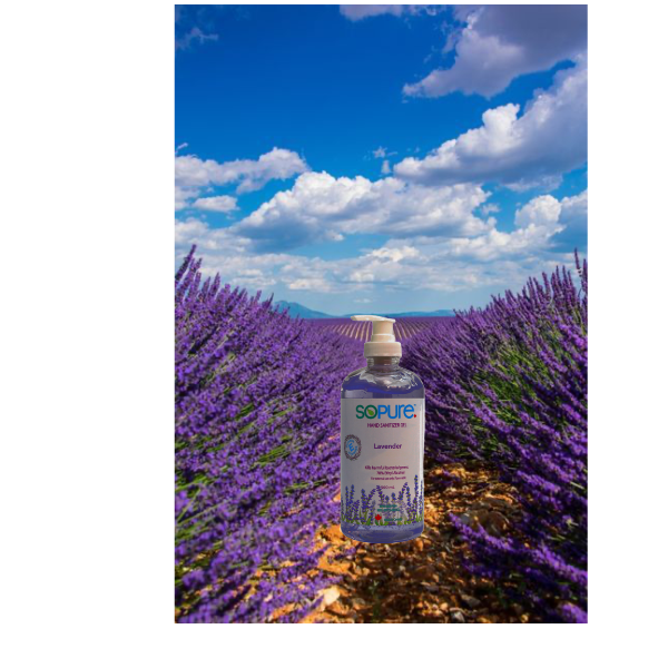 Lavender Hand Sanitizer Gel with Pump 500mL - SoPure Products